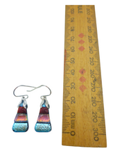 Small earrings