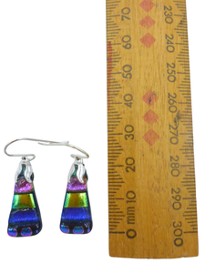Small earrings
