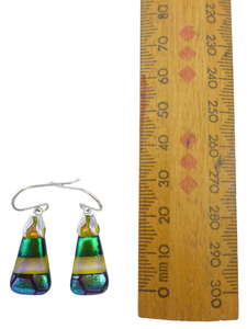 Small earrings