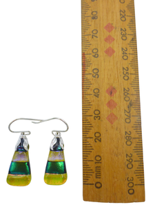 Small earrings