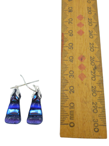 Small earrings